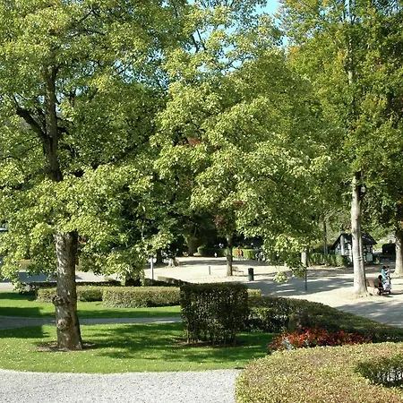 Holiday Bois De